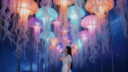 Whats on in Chiang Mai